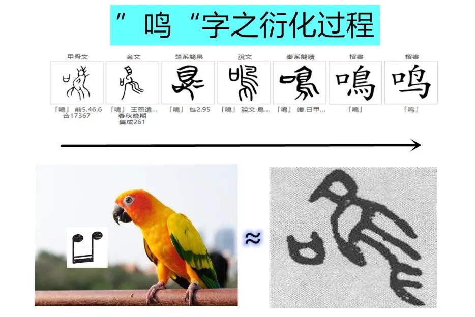 甲骨文趣考——六书智慧（4）会意