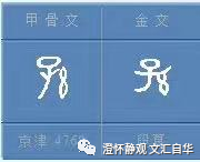 文汇·自华11（由“鼻”字引发的思考）